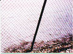 photo du tennis avant intervention
